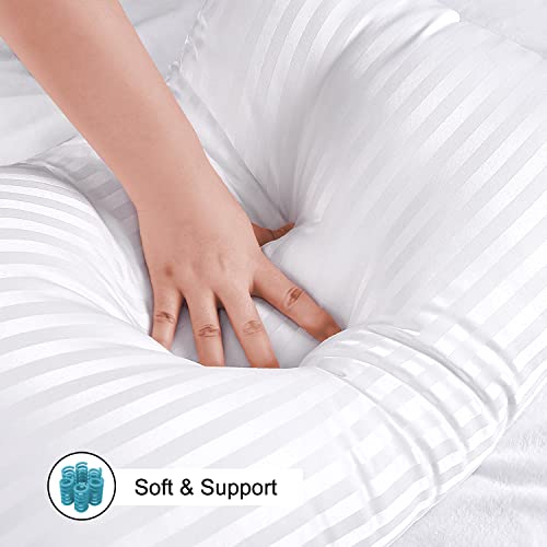 EIUE Hotel Collection Bed Pillows for Sleeping 2 Pack Queen Size,Pillows for Side and Back Sleepers,Super Soft Down Alternative Microfiber Filled Pillows,20 x 30 Inches EIUE
