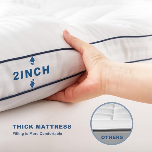 BEDLORE Queen Mattress Topper, Thick Pillow Top Bed Cover for Back Pain Relief, Soft Mattress Pad with Deep Pockets 6-18 inch BEDLORE