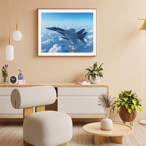 Eagle Jet Plane Paint by Number for Adults DIY Painting Kits Arts Crafts for Home Decor Gift 16x20in LAENAKR