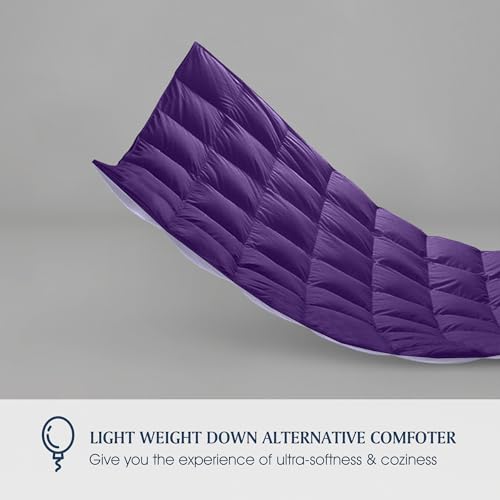 Blue Ridge Home Fashions Comforter Breathable Microfiber Duvet Insert, Summer Cooling Winter Warm Reversible Down Alternative Quilt Comforter for All Season, Full/Queen, Purple/Violet Blue Ridge Home Fashions