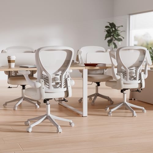 GYI Ergonomic Office Chair, Mesh Desk Chair with Adjustable Lumbar Support and 3D Flip-up Arms, Computer Chair with Wheels, All White GYI