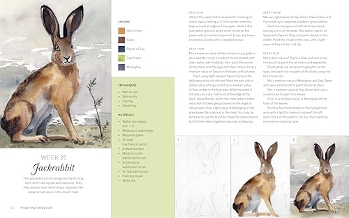 Wild Watercolor: Weekly Lessons and Techniques for Stunning Creations WoodArtSupply