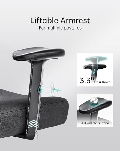 Hbada P3 Ergonnomic Office Chair with 2D Adjustable Lumbar Support, Office Chair with Adjustable Headrest and Armrest, 145ยฐ Stepless Tilt Function, Black(No Footrest) Hbada