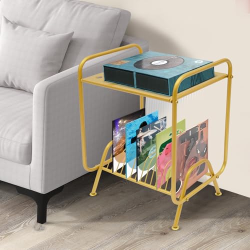 ARPITUYN 2-Tier Record Player Stand with Record Storage Shelf, Free Standing Metal Record Storage Rack with 16 Slots, Modern Player Table for Living Room, Bedroom (Gold) ARPITUYN