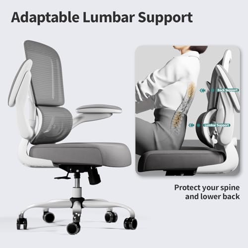 TRALT Office Chair - Ergonomic Desk Chair with Adjustable Lumbar Support, Mesh Computer Chair, Executive Chairs for Home Office Comfortable Lumbar Support (White) TRALT