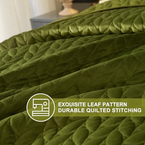 Ivellow Velvet Quilt Queen Size Green Lightweight Velvet Comforter Set Oversized Bedspread Coverlet Full for All Season 3Pcs Luxury Quilted Bedding Ivellow