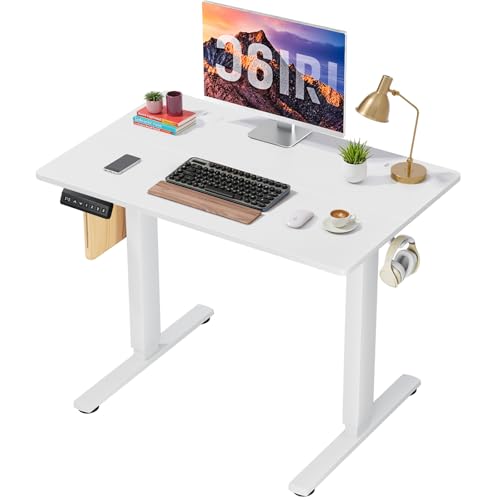 40 x 24 in Electric Standing Desk - Memory Height Adjustable Ergonomic Sit-to-Stand Rising Computer Table Gaming Workstations with 2 Hooks and Wire Hole for Home Office, White SageNest
