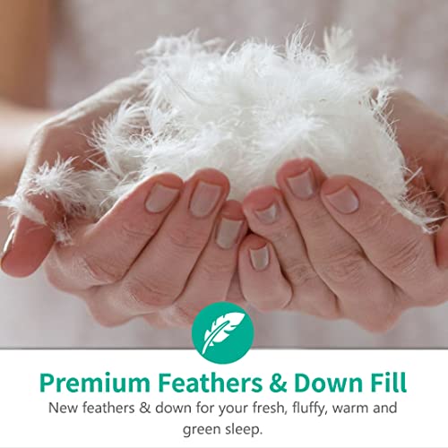 APSMILE Organic Feathers Down Comforter California King, All-Seasons Duvet Insert, 100% Cotton Medium Warm Quilted Bed Comforter Insert (104x96, Ivory White) APSMILE