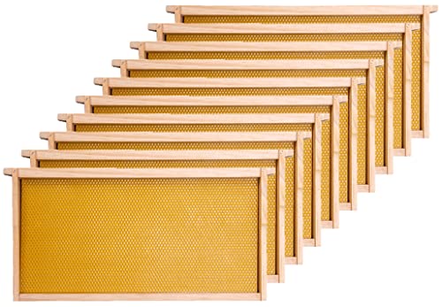 Honey Lake Deep Beehive Frames and Foundations Kit, 10 Pack Brood Wooden Frames and Natural Beeswax Dipped Plastic Foundation for Beekeeping Honey Lake