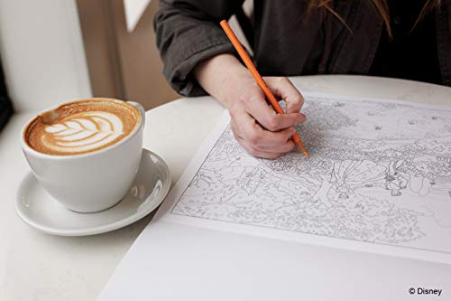 Disney Dreams Collection Thomas Kinkade Studios Disney Princess Coloring Poster Book Andrews McMeel Publishing