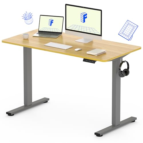 FLEXISPOT Height Adjustable Desk 48 x 30 inch Electric Standing Desk Whole-Piece Desk Board Stand Up Desk for Home Office (Gray Frame + 48" Natural Top) FLEXISPOT