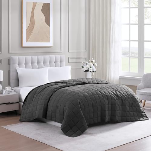 Casa Platino Twin Duvet Insert - Soft Blankets Lightweight Twin Size Bedding, Cooling Pre-Washed - Down Alternative Blanket - Charcoal Casa Platino