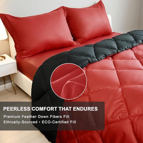 WQSPRING Queen Size Comforter Set, Reversible 3 Pieces Lightweight Soft Bedding Set for All Season, Premium Bed in a Bag Includes 1 Comforter (90"x90") and 2 Pillowcase (20"x26") WQSPRING