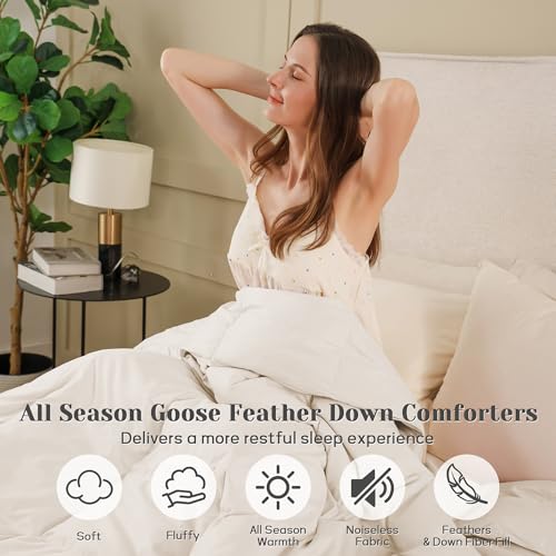 Joysoul Twin Size Down Comforter - All Season Ultra Soft Goose Down & Feather Fiber Fill, Luxury Hotel Cream Duvet Insert with Corner Tabs (68" X 88") Joysoul