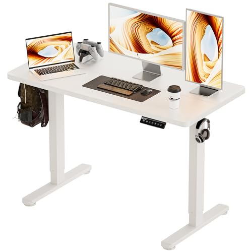 BIZUM Standing Desk Electric Adjustable Computer Desk-Stand up Desk Office Gaming Home Office Memory Desks 48x24 inches White BIZUM