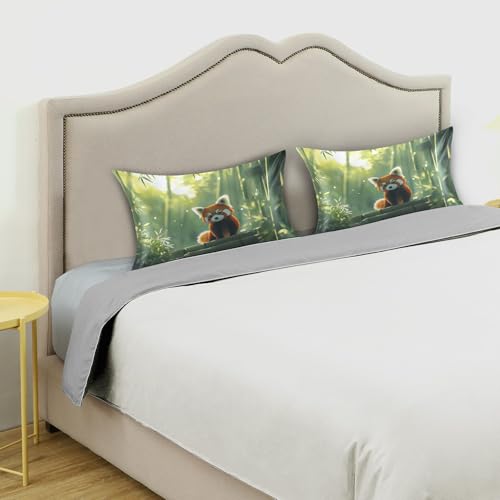 Bokkoy Soft and Silky Satin Pillow Case with Red Panda Watching Wrinkle Resistance for Standard, Queen, and King Sizes - Single Pack Sales Bokkoy