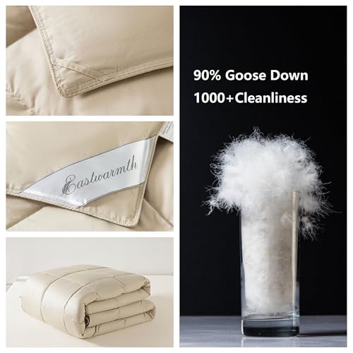 Eastwarmth Lightweight Goose Down Comforter Cooling Blanket Duvet for Summer/Warm Weather, 100% Cotton Cover Grey,Full/Queen Size(90x90inch) Eastwarmth