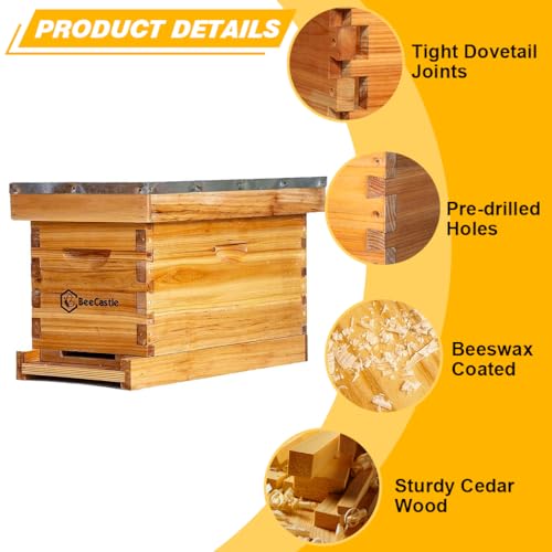 BeeCastle 5 Frame Bee Hive Nuc Box Coated with 100% Beeswax Includes Beehive Frames and Waxed Foundations BeeCastle