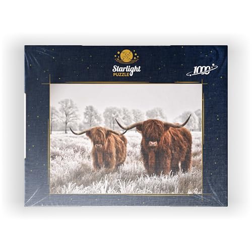 MyPuzzle Hairy Scottish Highland Cattle in A Winter Landscape - Premium 1000 Piece Jigsaw Puzzle for Adults MyPuzzle.com