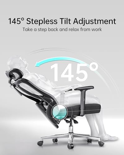 Hbada P3 Ergonnomic Office Chair with 2D Adjustable Lumbar Support, Office Chair with Adjustable Headrest and Armrest, 145ยฐ Stepless Tilt Function, Black(No Footrest) Hbada