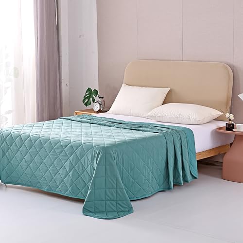 EVOLIVE Elastane Diamind Quilted All Season Light Weight Single Reversible Cooling Quilt/Comforter (Blue, Full/Queen) EVOLIVE