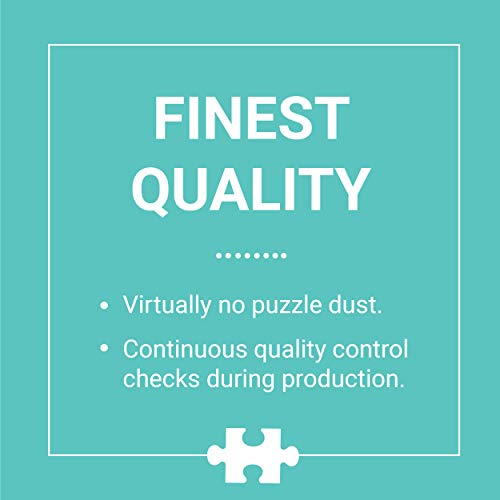 Galison Mixtapes 1000 Piece Puzzle from Galison - Beautiful Photographic Jigsaw Puzzle from Julie Seabrook Ream, 27" x 20", Perfect for Old School Music Lovers, Unique Gift Idea Galison