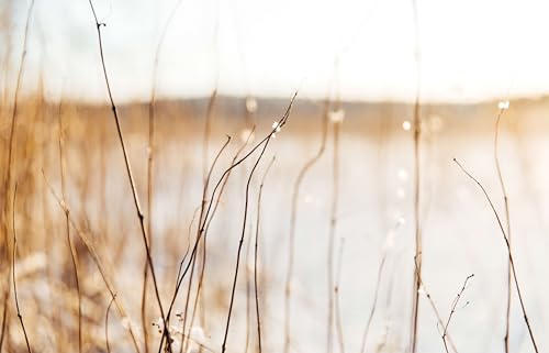 52 Weeks of Accessories: Beautiful Patterns for Year-round Knitting WoodArtSupply