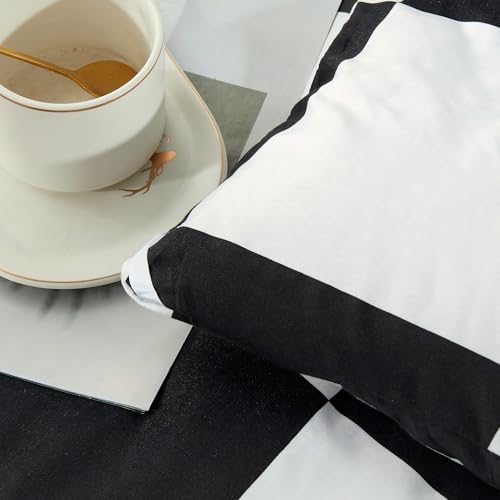 Anrenoti Black White Plaid Comforter Set, 3 Pieces Fluffy Gingham Checkered Down Alternative Comforter Full (79"x90"), Lightweight Microfiber Geometric Bedding with 2 Pillowcases for All Seasons Anrenoti