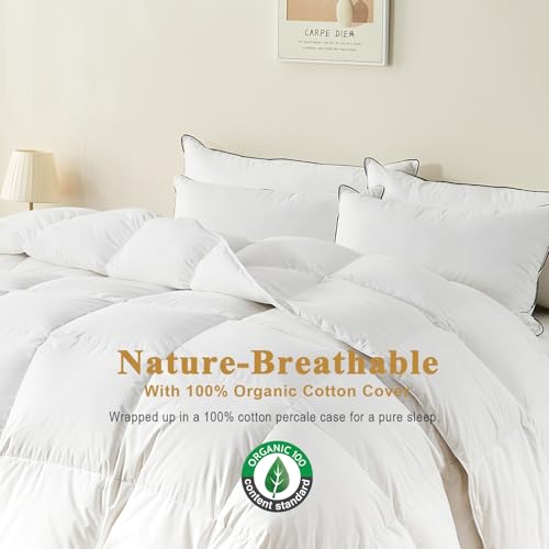 TOPGREEN Organic Feather Down Comforter Full Size, Luxury Extra-Fluffy Duvet Insert, All Season Bed Comforter with Ultra-Soft Organic Cotton Case (82x86 Inch, Ivory White) TOPGREEN