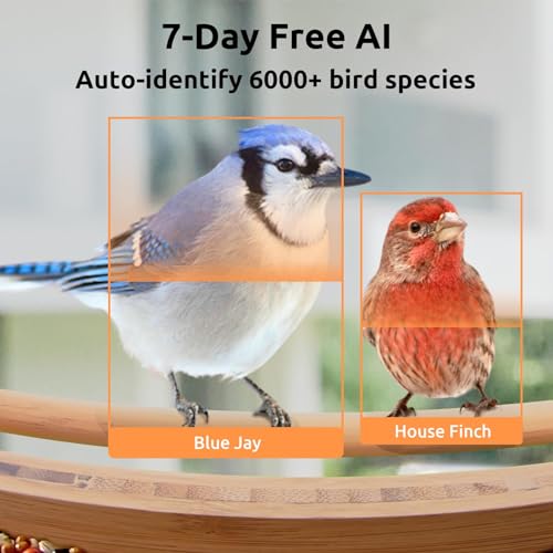 NETVUE Birdfy - Upgraded Smart Bird Feeder with Camera Solar Powered, Auto Capture Each Bird & Notify in Time, 7-Day Free AI Recognition, NETVUE