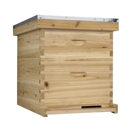 NuBee Starter 10 Frame Beehive Kit - Includes 1 Hive Body, 1 Super Box, Pine Frames, Wax Coated Foundations and More NuBee Hive