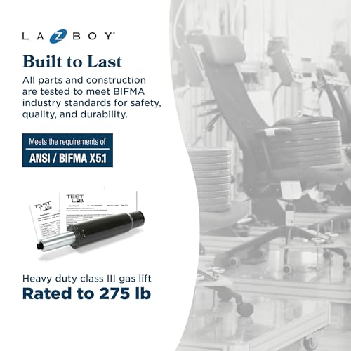 La-Z-Boy Sutherland Ergonomic Fabric Swivel Computer and Desk Chair, Cream (CHR10048D) La-Z-Boy