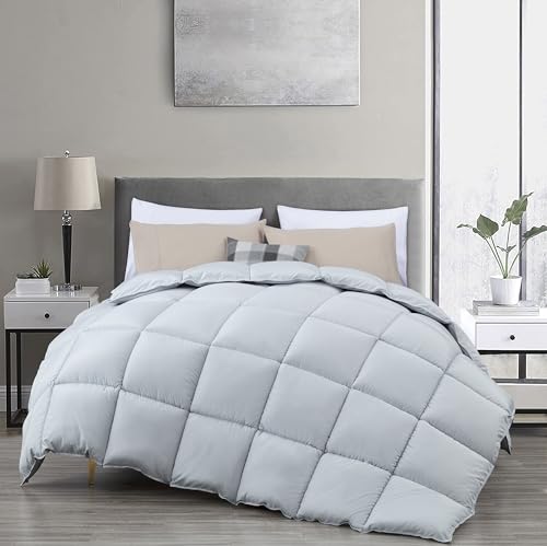 Chezmoi Collection All Season Twin Size Down Alternative Comforter - Plush Microfiber Fill - Box Stitch Quilted - Duvet Insert with Corner Tabs (Twin/Single, Silver Gray) Chezmoi Collection