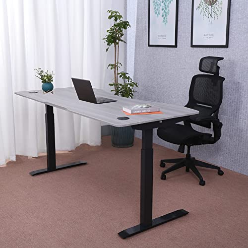 ApexDesk Elite Pro Series 71" x 33" Electric Height Adjustable Stand up Desk, Sit Stand Home Office Desk, Computer Desk - Curved Grey Top/Black Frame ApexDesk