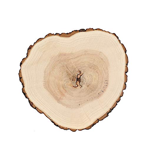 BalsaCircle 14-18-Inch Wide Natural Round Poplar Wooden Slices Party Tabletop Centerpieces - Wedding Party Crafts Home Decorations BalsaCircle BalsaCircle Centerpieces