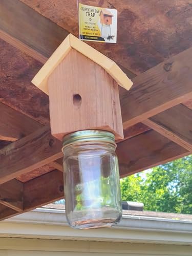 Amish-Made Rustic Carpenter bee Trap WoodArtSupply