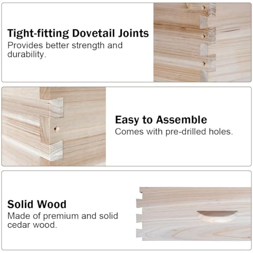 BeeCastle 10-Frame Complete Bee Hives and Supplies Starter Kit, Beehives for Beginners with Beehive Frames and Waxed Foundations (2 Deep Bee Boxes & 2 Medium Super Bee Boxes) BeeCastle