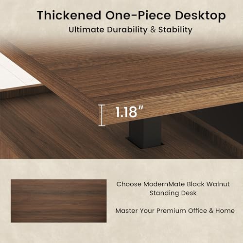 ModernMate Executive Standing Desk with Drawers & Storage, 71'' Adjustable Electric Stand Up Wood Desk with Privacy Panel, AC/USB, File Cabinet, Large One-Piece Destop for Home Office, Black Walnut ModernMate