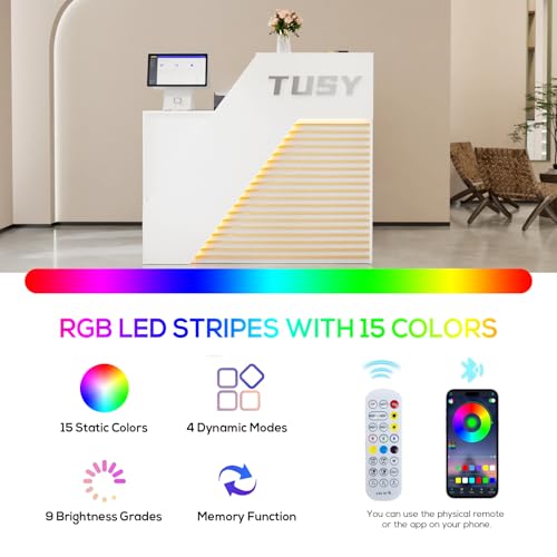 TUSY 42.2" H Modern Reception Desk - Small Front Desk with Adjustable LED Light, Reception Room Table with Built-in USB Outlet for Salon, Lobby (47.2" W x 19.69" D x 42.2" H)