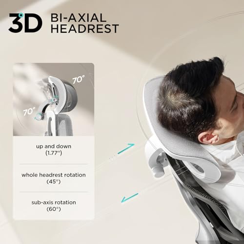 Hbada E3 Air Ergonomic Office Chair, Big and Tall Office Chair - with 3-Zone Dynamic Lumbar Support, 3D Adjustable Headrest, 3D Adjustable Armrests, Swivel, Grey(No Footrest) Hbada
