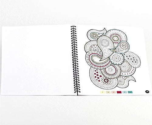 Brain Games - Color by Number: Stress-Free Coloring (Pink) Publications International, Ltd.