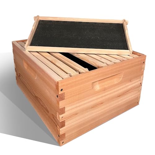 Luxurious Cedar Wood Beehive: Durable, Eco-Friendly Sanctuary for Bees - Handcrafted, Ventilated Design for Optimal Health and Honey Production, Made in USA (Includes 2 Deep and 1 Medium Box) Hoover Hives