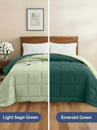 Cal King Size, Emerald/Light Sage Green Alternative Down Comforter - Warm, Lightweight & Breathable Hotel Quality Bedding Set for Men, Women, Kids and Teens - All Season Cooling Duvet Insert Comforter CGK Unlimited