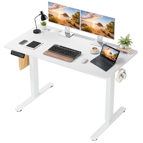 48 x 24 in Electric Standing Desk - Memory Height Adjustable Ergonomic Sit-to-Stand Rising Computer Table Gaming Workstations with 2 Hooks and Wire Hole for Home Office, White SageNest
