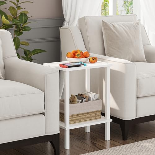 TUTOTAK End Table, Side Table, Nightstand, 2-Tier Storage Shelf, Sofa Side Table for Small Space, Living Room, Bed Room V1TB01BW034 TUTOTAK