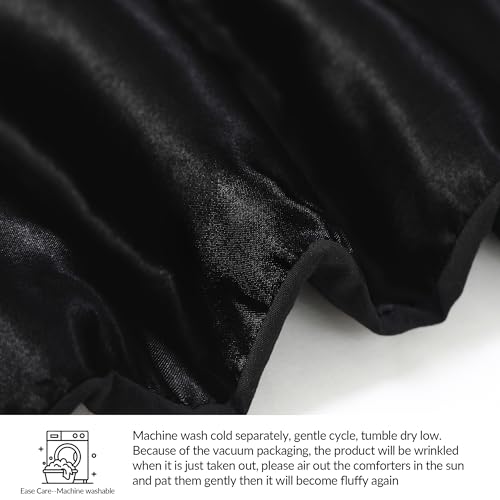 Whale Flotilla 2-Piece Reversible Silky Soft Twin Size Comforter Bedding Set, Luxurious Satin Comforters with Satin Pillowcase, Lightweight Duvet for All Seasons, Black Whale Flotilla