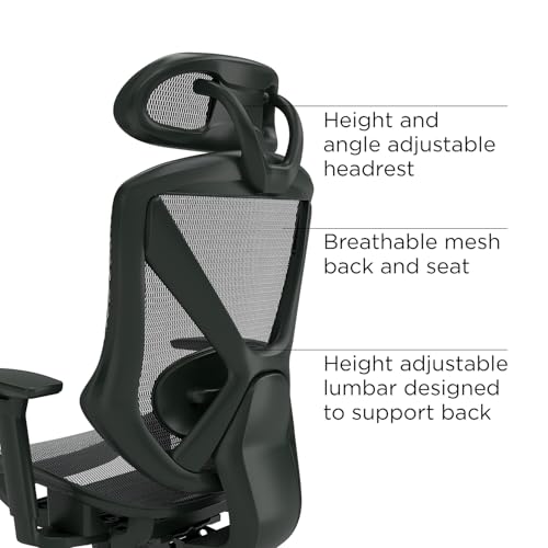 STAPLES Dexley Ergonomic Mesh Office Chair - Adjustable Height, Swivel Tilt, Lumbar Support, Black STAPLES