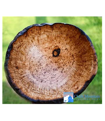 Walnut Oil Finisher Food Safe Preserve & Beautify Finished & Unfinished Wood - 8oz Bottles 2 Pack Chalk Mountain Brushes