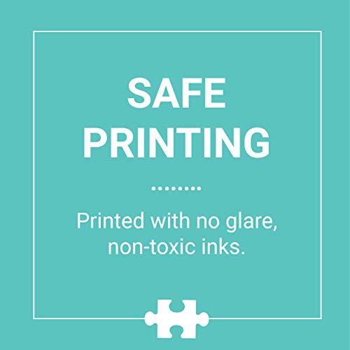 Galison Michael Storrings A Day at The Bookstore 1000 Piece Puzzle from Galison - Beautifully Illustrated Jigsaw Puzzle of a Local Bookstore, 27" x 20" Fun & Challenging, Unique Gift Idea Galison