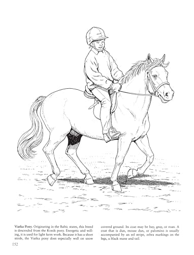 Big Book of Horses to Color (Dover Animal Coloring Books) Dover Publications